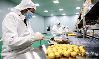 清水县年产2000吨核桃巧克力生产线正式投产(图)